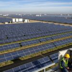 Professional technician performing a routine inspection on a large-scale solar power plant array to ensure optimal energy production.