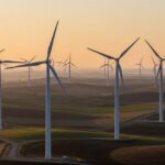 Utility-scale wind power plant with multiple turbines in a field at sunset, representing Wind Power Plant Economics and infrastructure.